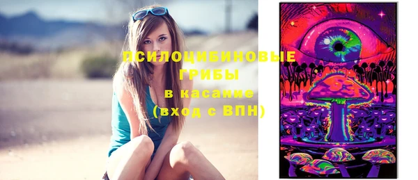 прущая мука Дмитриев