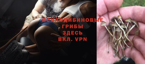 мдма Елизово