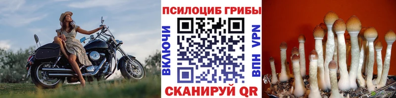 что такое наркотик  Приволжский  Псилоцибиновые грибы мицелий 